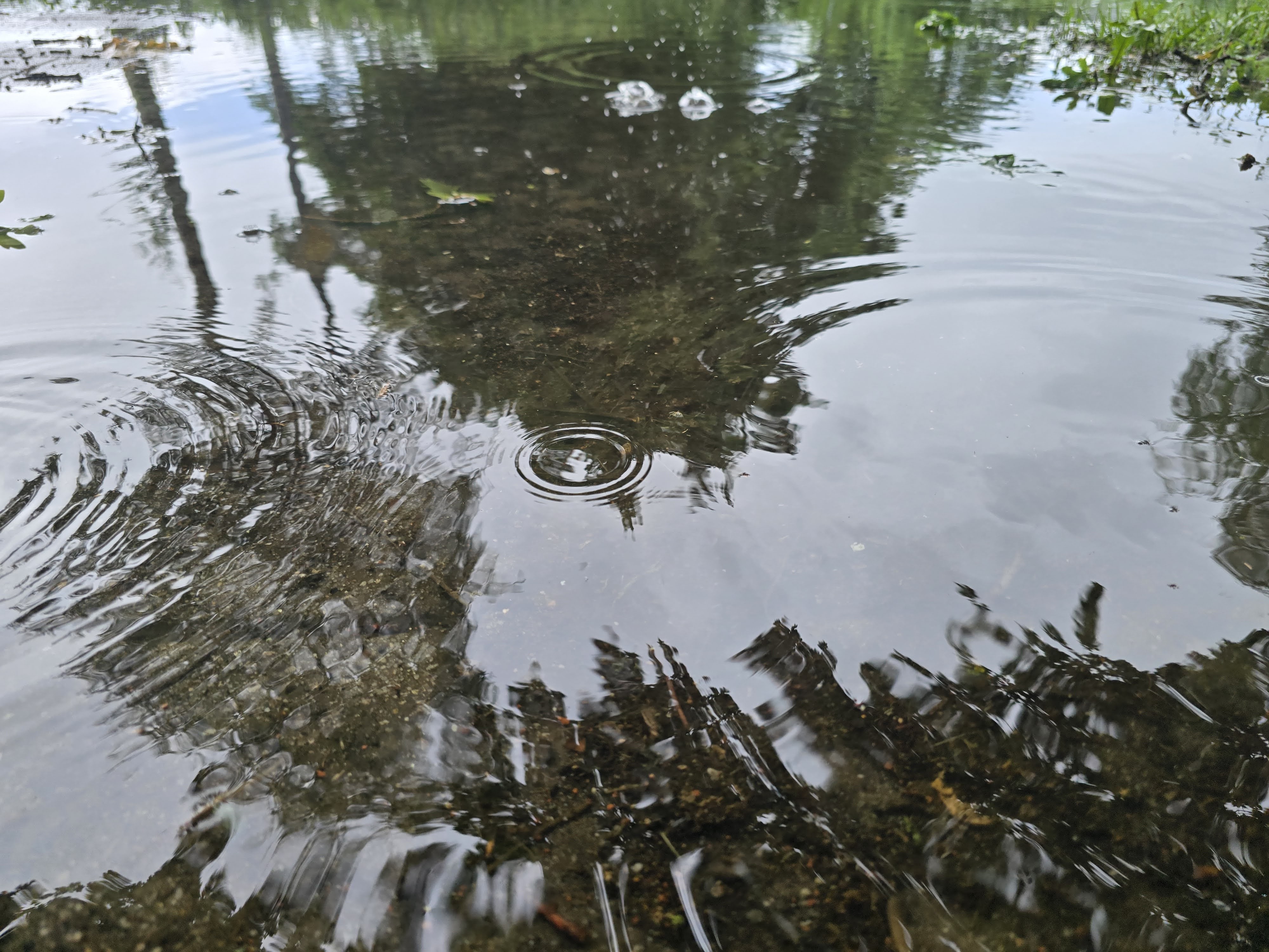 Day 10 More rain to come?